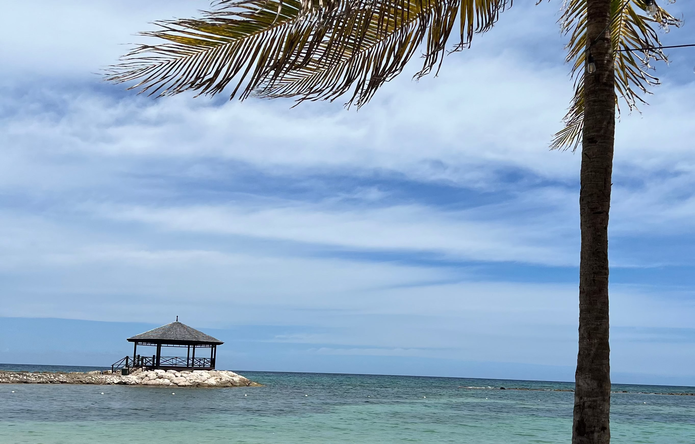 Beach scene with a palm tree, clear water, and a small hut on a rock.